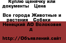 Куплю щенячку или документы › Цена ­ 3 000 - Все города Животные и растения » Собаки   . Ненецкий АО,Волоковая д.